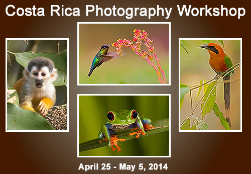 Click here for a YouTube Video of Costa Rica Images