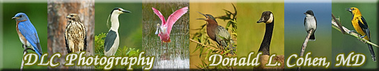 Click Here for DLCPhoto Home Page